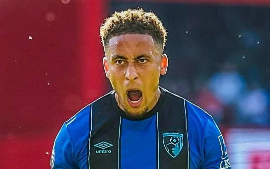 Marcus Tavernier